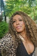 Mestre Transex Paolina Mulatta 333 29 10 933 foto selfie 17