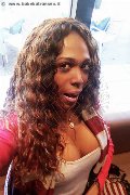Milano Transex Paolina Mulatta 333 29 10 933 foto selfie 14