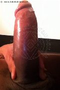 Milano Transex Paula Xxl 376 29 61 336 foto selfie 26