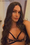 Roma Transex Paulinha Ferraz 320 88 26 069 foto selfie 3