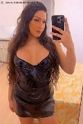 Roma Transex Paulinha Ferraz 320 88 26 069 foto selfie 5
