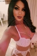 Roma Transex Rosa Xxxl 328 74 36 345 foto selfie 43