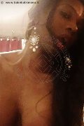 Roma Transex Thais Gamma 377 42 24 303 foto selfie 24