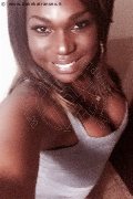 Roma Transex Thais Gamma 377 42 24 303 foto selfie 35