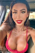 Gallarate Transex Thayys Castro 329 72 89 046 foto selfie 7