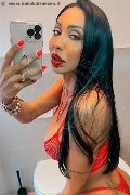 Gallarate Transex Thayys Castro 329 72 89 046 foto selfie 29