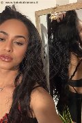 Bologna Transex Victoria New 339 43 37 857 foto selfie 5