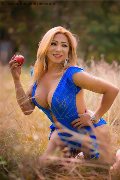 Foto Sofia Vargas Sexy Trans Anversa 3495436989 - 96