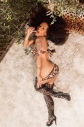 Foto Tamisca Safada Sexy Trans Verona 3270654407 - 75