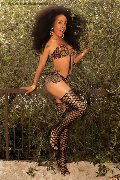 Foto Tamisca Safada Sexy Trans Verona 3270654407 - 79