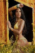 Foto Vajolet Dior Sexy Trans Ponte San Giovanni 3779997086 - 31