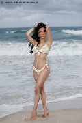 Foto Vanessa Hilton Sexy Trans Modena 3245846577 - 103