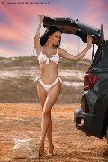 Foto Vanessa Hilton Sexy Trans Modena 3245846577 - 109