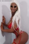 Foto Virna La Super Dotata Sexy Trans Milano 3494393969 - 8