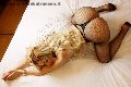 Foto Alejandra Holguin Sexy Trans Palermo 3314081639 - 277