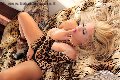 Foto Antonella Tx Brasiliana Sexy Trans Gallarate 3275572516 - 5