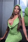 Foto Barbie Black Sexy Trans Milano 3924464272 - 44