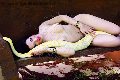 Foto Belovie Sexy Trans Lido Di Camaiore 3533134168 - 4