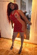 Foto Carolina Sexy Sexy Trans Siena 3486599498 - 16