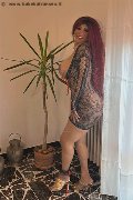 Foto Carolina Sexy Sexy Trans Siena 3486599498 - 10