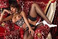 Foto Daniella Souza Sexy Trans Parma 3514796527 - 23