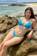 Foto Flavia Sexy Trans Pesaro 3201153101 - 15