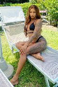 Foto Hillary Brasiliana Sexy Trans Alba Adriatica 3384136322 - 43