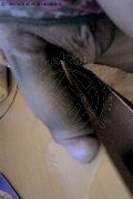 Foto Hot Monique Sexy Trans Cassano Delle Murge 3201830286 - 27