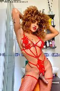 Foto Hot Stella Sexy Trans Milano 3295563971 - 5