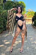 Foto Nick Miller Sexy Trans Verona 3382945956 - 51
