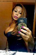 Rimini Transex Alessandra Toledo Pornostar 339 67 43 933 foto selfie 231