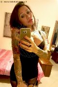 Rimini Transex Alessandra Toledo Pornostar 339 67 43 933 foto selfie 235
