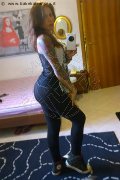 Rimini Transex Alessandra Toledo Pornostar 339 67 43 933 foto selfie 268