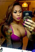 Rimini Transex Alessandra Toledo Pornostar 339 67 43 933 foto selfie 227