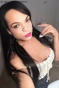 Treviso Transex Dior 347 28 25 420 foto selfie 101