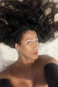 Viareggio Transex Gaya 331 46 95 808 foto selfie 1