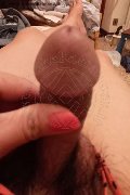 Roma Transex Ladyboy Carlina 329 76 93 880 foto selfie 40