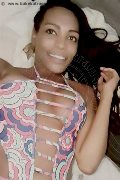 Bologna Transex Naomy Xl 329 01 67 932 foto selfie 28
