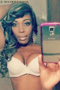Bologna Transex Naomy Xl 329 01 67 932 foto selfie 67