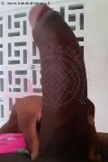 Genova Transex Naomy Xl 329 01 67 932 foto selfie 110