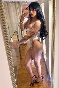 Rimini Transex Rafaela Bastos 329 55 79 942 foto selfie 2