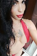 Treviso Transex Rayla Rios 329 38 77 403 foto selfie 37