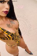 Treviso Transex Rayla Rios 329 38 77 403 foto selfie 15