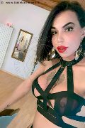 Treviso Transex Rayla Rios 329 38 77 403 foto selfie 2