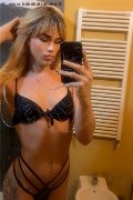 Milano Transex Sofia 347 30 29 531 foto selfie 22