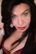 Prato Transex Tain� Oliveira 328 53 82 487 foto selfie 149