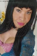 Prato Transex Tain� Oliveira 328 53 82 487 foto selfie 104