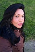 Prato Transex Tain� Oliveira 328 53 82 487 foto selfie 145