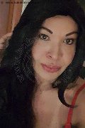 Prato Transex Tain� Oliveira 328 53 82 487 foto selfie 97