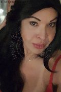 Prato Transex Tain� Oliveira 328 53 82 487 foto selfie 96